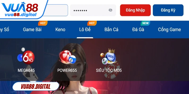 Những điểm đáng lưu ý khi đăng nhập Vua88